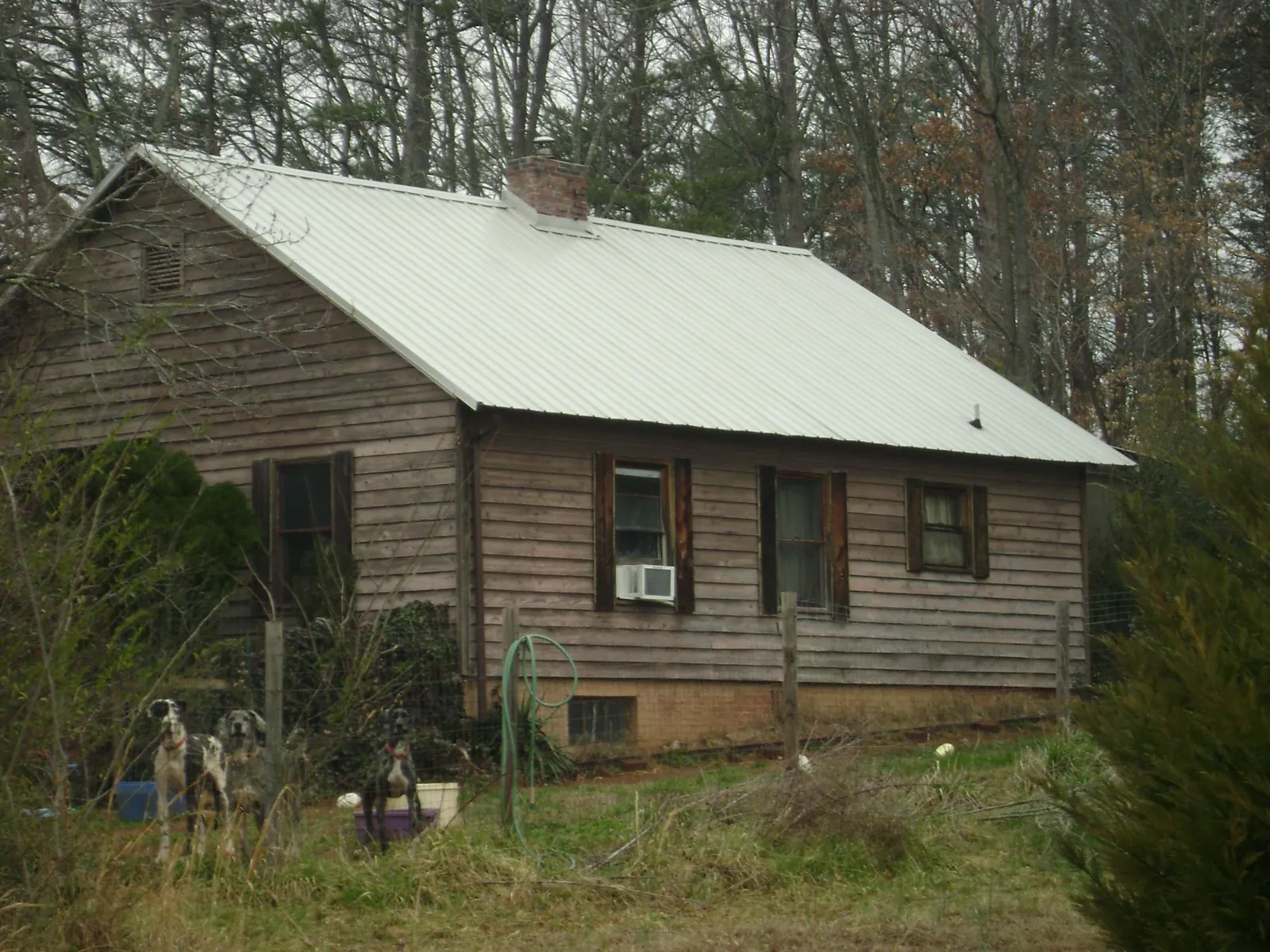 White metal roof on an old wood sided farmhouse, from a Asphalt Shingle Roof Repair job in Kremmling